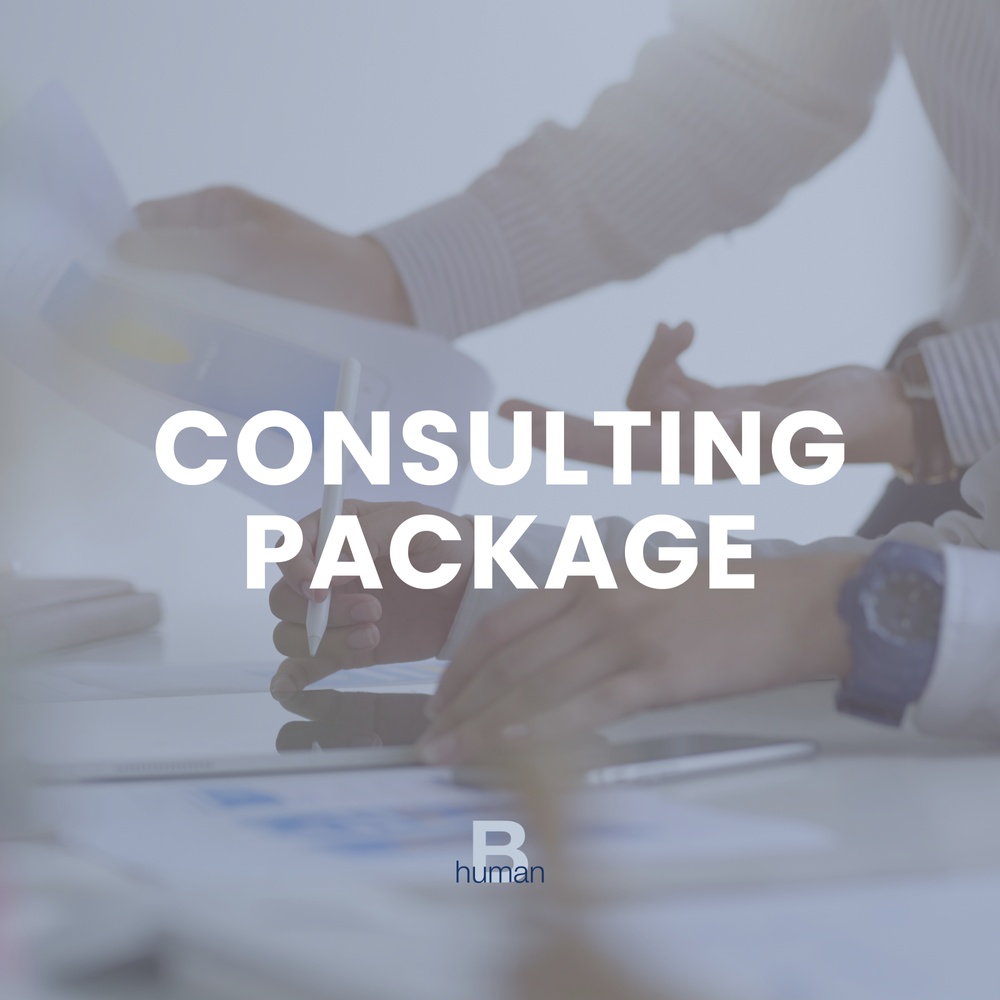 Consulting Package
